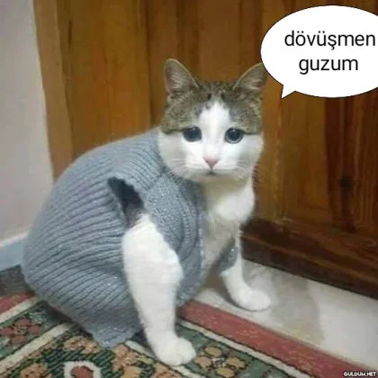 ekonovich tarafından paylaşılan görsel