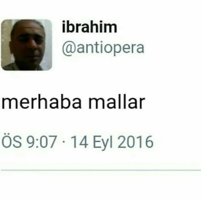 poine tarafından paylaşılan görsel