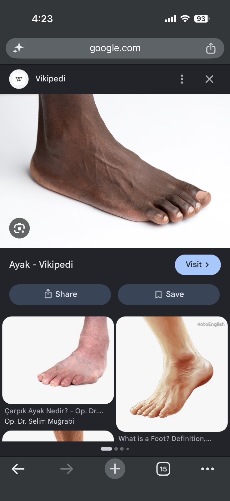 noluyo kardeşim ne bu tantana - galeri görseli