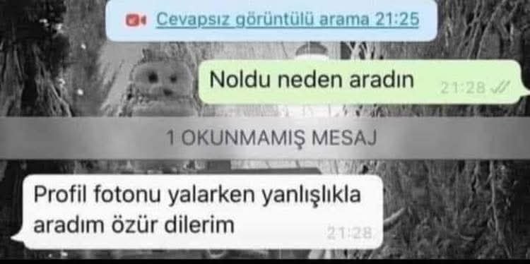 syrio forel tarafından paylaşılan görsel